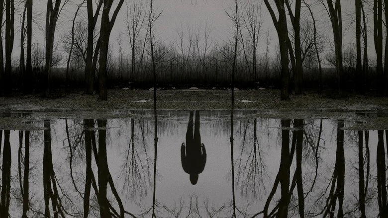 The Outsider