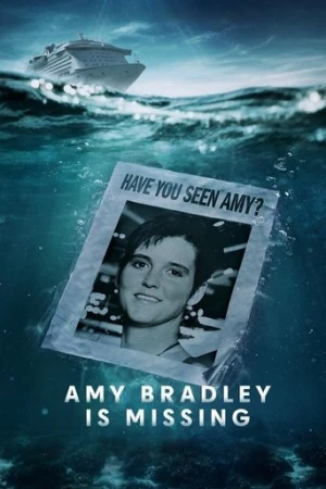 Amy Bradley Is Missing afiş