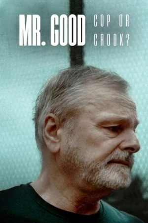 Mr. Good: Cop or Crook? afiş