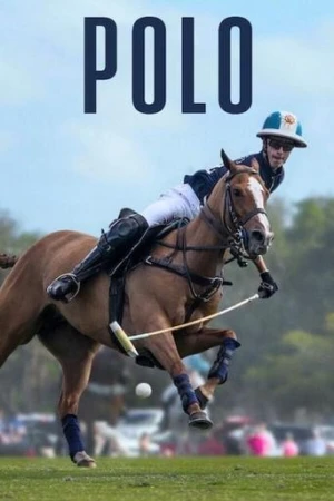 Polo afiş