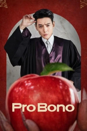 Pro Bono afiş