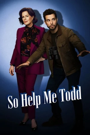 So Help Me Todd afiş
