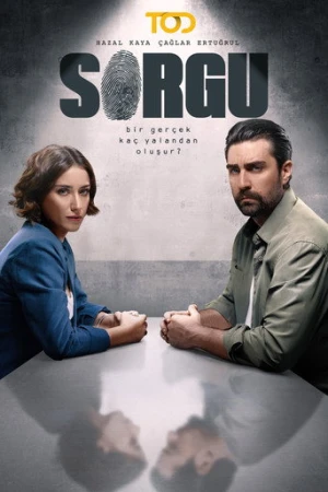 Sorgu afiş