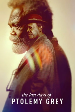 The Last Days of Ptolemy Grey afiş