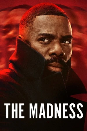 The Madness afiş