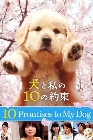 10 Promises to My Dog (2008) izle