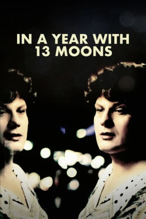 13 Ayla Bir Yılda (1978) izle