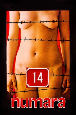 14 Numara (1985) izle