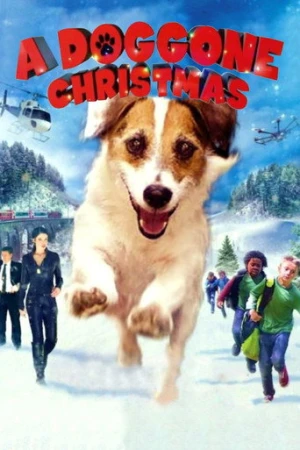 A Doggone Christmas (2016) izle