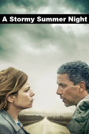 A Stormy Summer Night (2015) izle