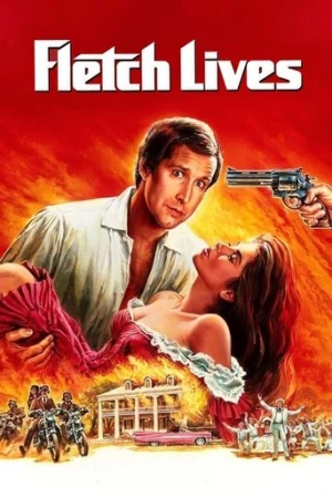 Acar Hafiye İş Başında (1989) izle
