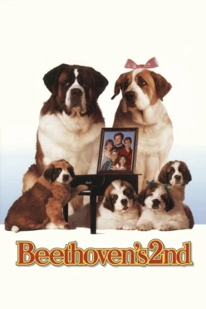Afacan Köpek Beethoven 2 (1993) izle