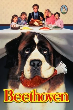 Afacan Köpek Beethoven (1992) izle