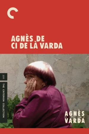 Agnès Varda: From Here to There (2011) izle