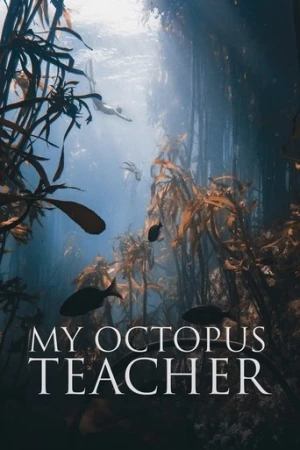 Ahtapottan Öğrendiklerim (2020) izle