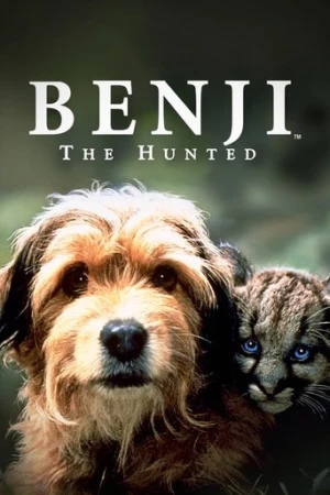 Av Köpeği Benji afiş