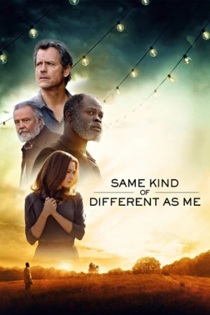 Aynı Benim Gibi Değişik (2017) izle