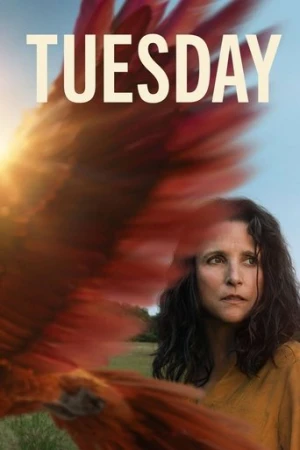 Ayrılış (2024) izle