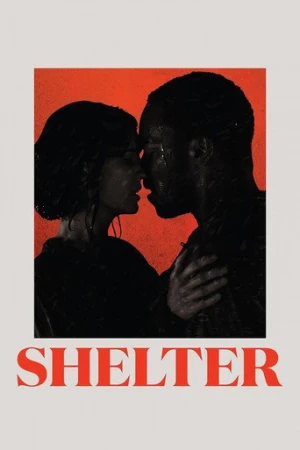 Barınak (2014) izle
