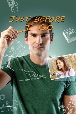 Ben Gitmeden Önce (2015) izle