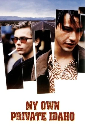 Benim Güzel Idaho'm (1991) izle