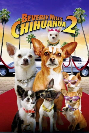 Beverly Hills Çuvava 2 (2011) izle