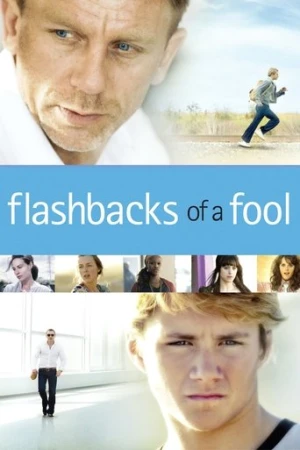 Bir Aptalın Anıları (2008) izle