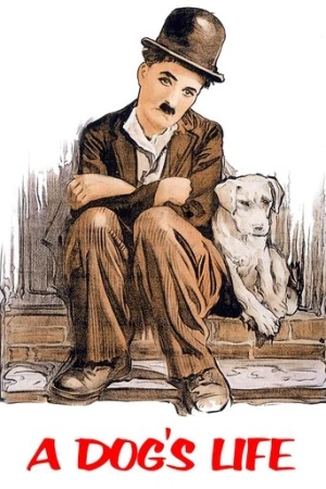 Bir Köpeğin Hayatı (1918) izle