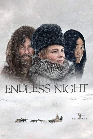 Bitmeyen Gece (2015) izle