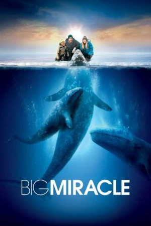 Büyük Mucize (2012) izle
