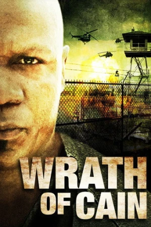 Cain’in Gazabı (2010) izle