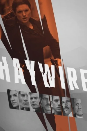 Çapraz Ateş (2011) izle