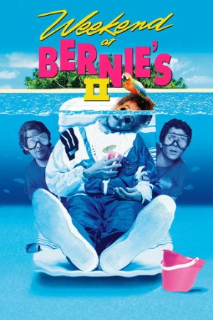 Çılgın Tatil 2 (1993) izle