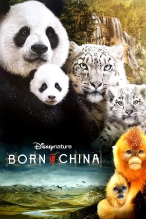 Çin'de Doğdum (2016) izle