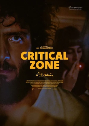 Critical Zone afiş