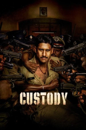 Custody (2023) izle
