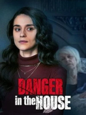 Danger in the House (2022) izle