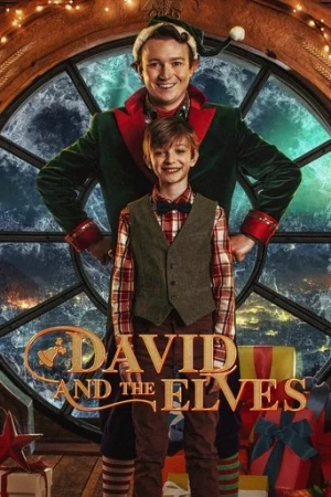 David ve Elfler (2021) izle