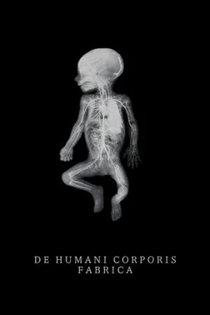 De Humani Corporis Fabrica afiş