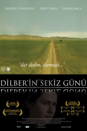 Dilber'in Sekiz Günü (2009) izle