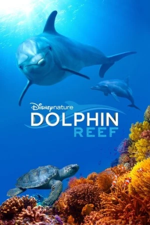 Dolphin Reef (2018) izle