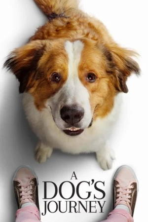 Dostumun Yolculuğu (2019) izle