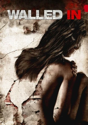 Duvarlar Arasında (2009) izle