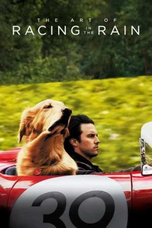 Enzo: Yağmurda Yarış Sanatı (2019) izle