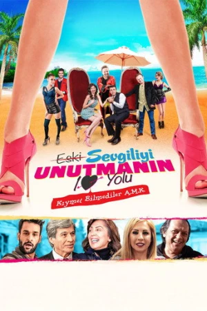 Eski Sevgiliyi Unutmanın 10 Yolu (2015) izle