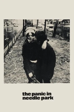 Esrar Bitti (1971) izle