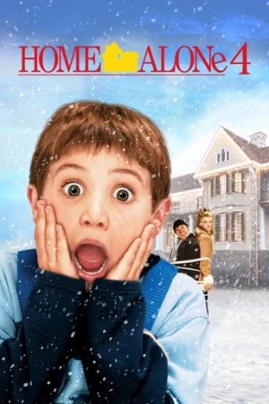 Evde Tek Başına 4 (2002) izle