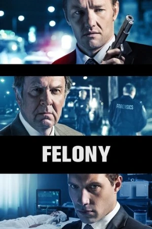 Felony (2014) izle