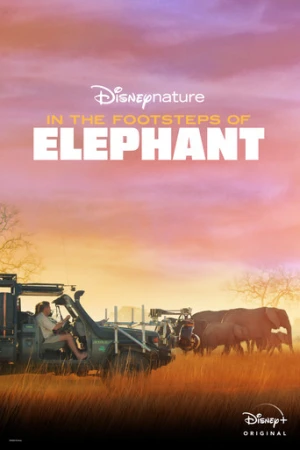 Fillerin İzinde (2020) izle