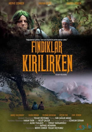 Fındıklar Kırılırken (2018) izle
